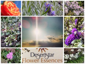 PicsArt_1381791117020