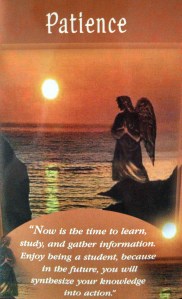 IMG_20130417_104931_577-1