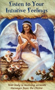 IMG_20130503_113605_185-1