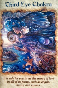 IMG_20130515_112519_739-1