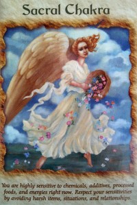 IMG_20130708_113702_586-1