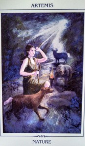 IMG_20130806_135005_252-1