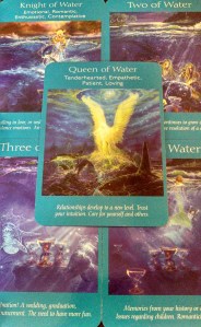 IMG_20130810_122824_018-1