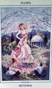 IMG_20130821_130535_100-1