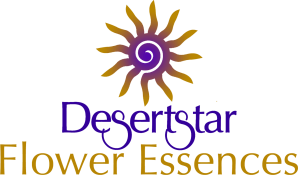 desertstar flower essences