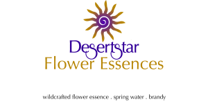 desertstar flower2