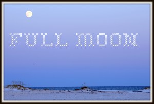 Fullmoon13