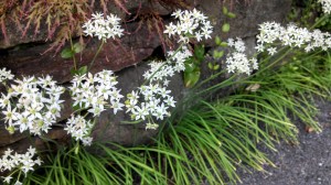 IMG_20130830_184356_091