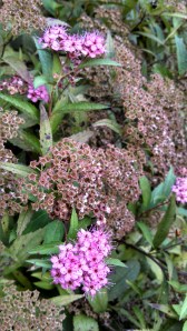 IMG_20130830_184505_691