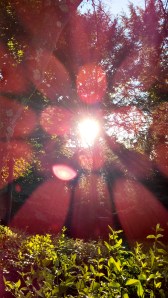 IMG_20130922_073321_908