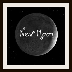 NewMoon13