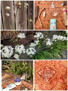 PicsArt_1381197427247