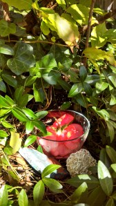 IMG_20131014_135519_352