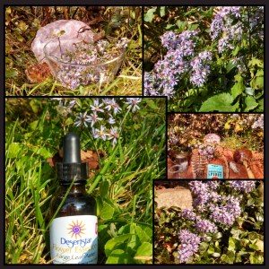 PicsArt_1380981007580