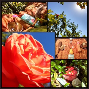 PicsArt_1381780466394